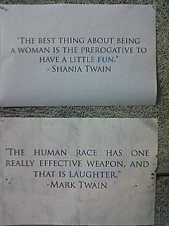 Shania and Mark Twain